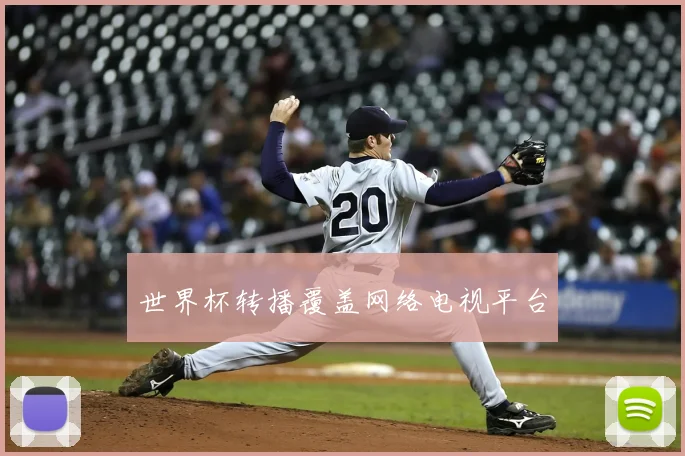 世界杯转播覆盖网络电视平台