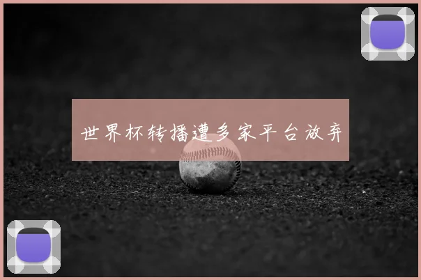 世界杯转播遭多家平台放弃