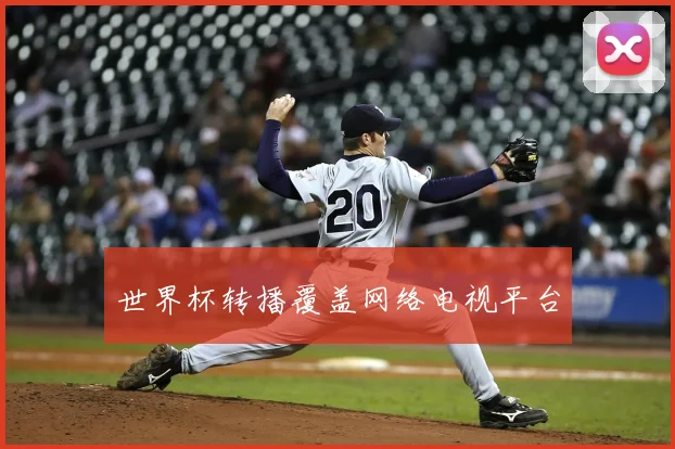 世界杯转播覆盖网络电视平台