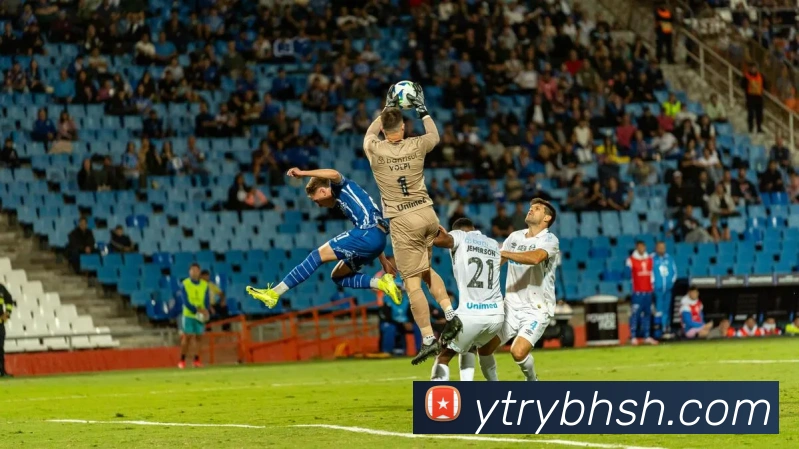 投注app官网发展历程